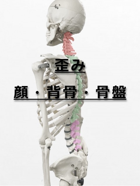 骨格矯正で骨盤の歪み解消