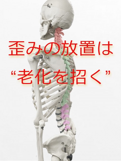 骨格の歪みの正体