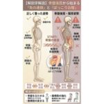 ぽっこりお腹